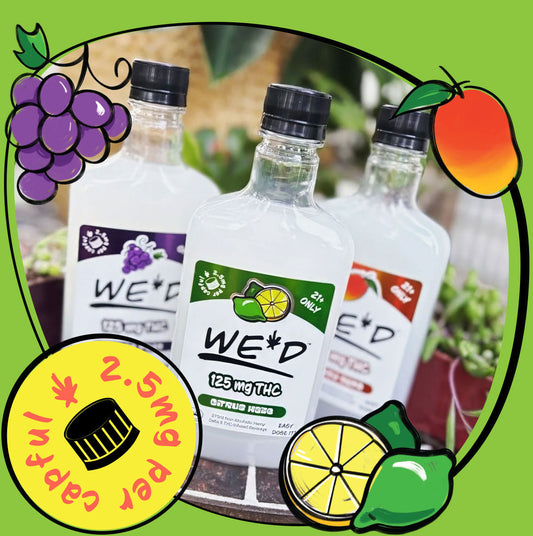 The Last Sip of Summer: 3 Easy THC Drink Recipes to End the Season Right