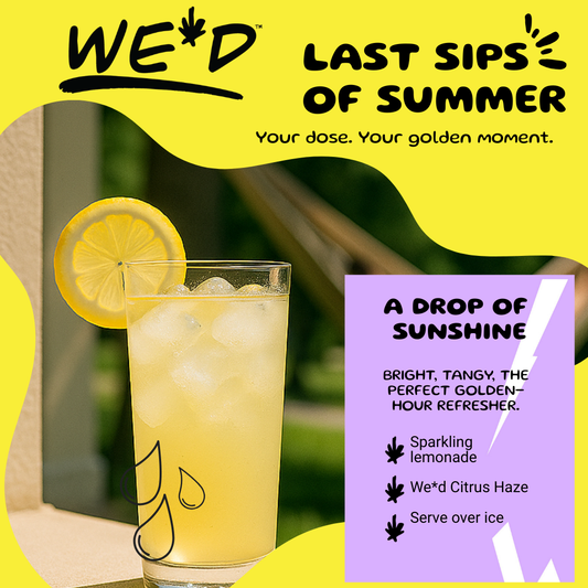 A Drop of Sunshine – The Bright Citrus THC Drink